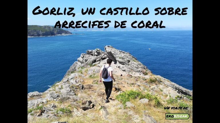 Transporte en Gorliz: Eficiencia y Opciones Disponibles