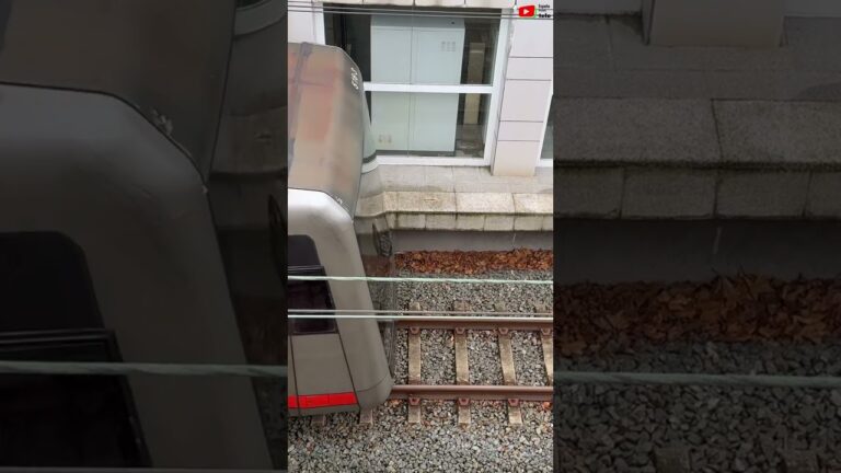 Guía Práctica para Moverse por Getxo en Transporte Público